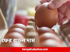 সাধারণের ডিম-ভাতেও কোপ! ফের বাড়ল দাম, পকেটে টান মধ্যবিত্তের