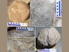In MP’s Narmada Valley, Researchers Find 92 Dinosaur Nesting Sites, 256 Fossil Eggs Of Giant Titanosaurs
