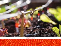 यदि आप भी गन्ना की खेती करते हैं तो ड्रिप सिंचाई के लिए मिलेगा 90% अनुदान, आसान है आवेदन की प्रक्रिया