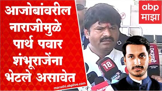 Gopichand Padalkar on Parth Pawar : पार्थ पवार नाराज असतील, त्यामुळेच शंभूराज देसाईंना भेटले असावेत
