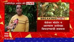 Ratnagiri Mango Loss : आंबा बागायतदारांना फटका, थंडीमुळे फक्त 10 टक्के मोहोर ABP Majha