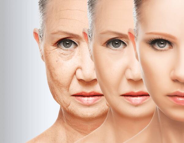 Scientists Have Reached a Key Milestone in Learning How to Reverse Aging ਖੁਸ਼ਖਬਰੀ! ਹੁਣ ਬੁੱਢੇ ਵੀ ਫਿਰ ਹੋ ਜਾਣਗੇ ਜਵਾਨ, ਵਿਗਿਆਨੀਆਂ ਦੇ ਹੱਥ ਲੱਗੀ ਚਮਤਕਾਰੀ ਰਿਸਰਚ