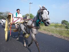 பசுமைப் பள்ளி திட்டம்... குதிரை வண்டியில் சென்று தொடங்கிவைத்த அமைச்சர் அன்பில் மகேஷ் பொய்யாமொழி