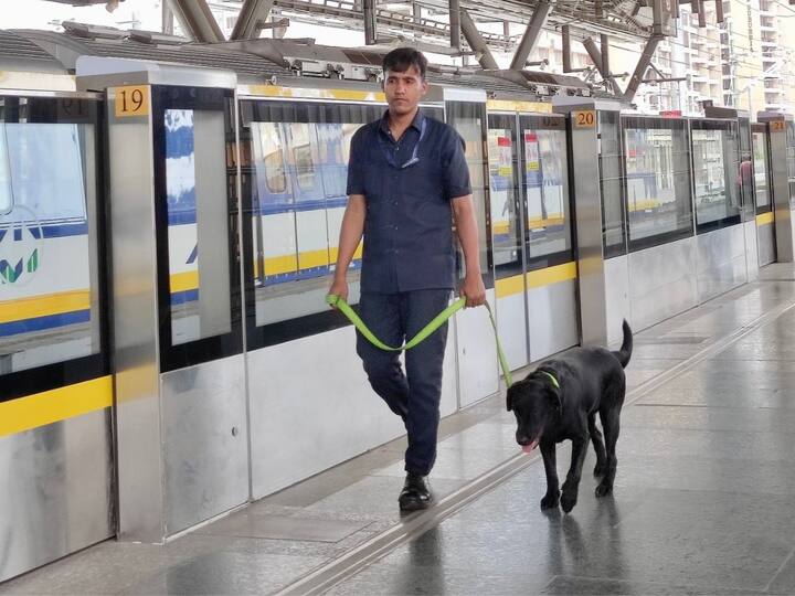 हे दोन्ही मेट्रो कॉरिडॉर घाटकोपर ते वर्सोवा दरम्यान धावणाऱ्या मेट्रो-3 कॉरिडॉरलाही जोडण्यात आले आहेत.