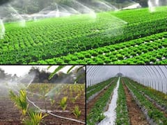 हर फसल की सिंचाई तकनीक अलग होती है, इस चीज को समझ लेंगे तो कुछ ही टाइम में बढ़ जाएगी पैदावार