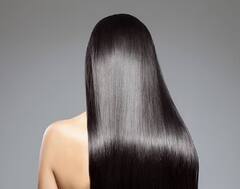 ਤੁਲਸੀ ਦਾ ਤੇਲ ਬਾਲਾਂ ਦੀ ਇਨ੍ਹਾਂ ਮੁੁਸ਼ਕਿਲਾਂ ਨੂੰ ਕਰੇਗਾ ਦੂਰ, ਇੱਕ ਵਾਰ ਜ਼ਰੂਰ ਕਰੋ ਟ੍ਰਾਈ