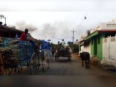 Photo : गुळाच्या उत्पादनातून लाखोंची उलाढाल, आष्टी गावातील शेतकऱ्यांना लाखोंचा नफा