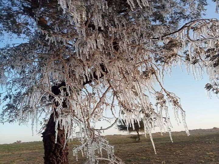 राजस्थान में शीतलहर और कोहरे ने जनजीवन बेहाल कर दिया है. हाल ही में सामने आई तस्वीरों ने सच में लोगों को हैरत में डाल दिया है. कड़ाके की सर्दी से अब फसलें भी नहीं बच पाई. राजस्थान के कई खेतों में बर्फ की चादर सी बिछ गई है, तो कहीं फसल के पौधों पर भी पूरी तरह से बर्फ जमी हुई नजर आ रही है.