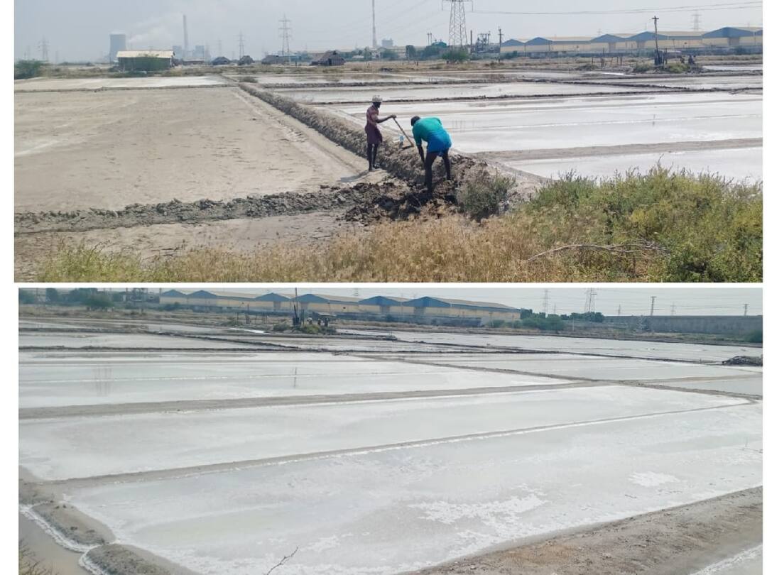 உப்பள தொழிலாளிகள் அனைவருக்கும் மழை கால நிவாரணம்; கோரிக்கை விடுக்கும் தொழிலாளிகள்- அரசு செயல்படுத்துமா?