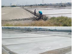 உப்பள தொழிலாளிகள் அனைவருக்கும் மழை கால நிவாரணம்; கோரிக்கை விடுக்கும் தொழிலாளிகள்- அரசு செயல்படுத்துமா?