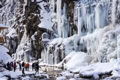 Kashmir Frozen Waterfall: প্রবল শীতে জমে বরফ গোটা ঝরনা, জমেছে লাগোয়া জলস্রোতও