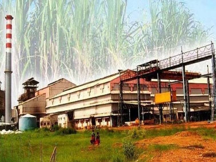 Agriculture News Sugarcane Production Record sugar exports with cane production in 2021-22 sugar season Sugarcane Production : 2021-22 चा साखर हंगाम समृद्ध, ऊस उत्पादनासह साखर निर्यातीत विक्रम; वाचा सविस्तर माहिती एका क्लिकवर 