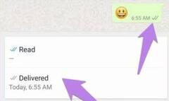 Tech Tips: વૉટ્સએપ મેસેજ વાંચી લેશો અને બ્લૂ ટિક પણ નહીં આવે, થર્ડ પાર્ટી એપ નહીં પરંતુ આ 2 રીત છે બિલકુલ સિક્યૉર