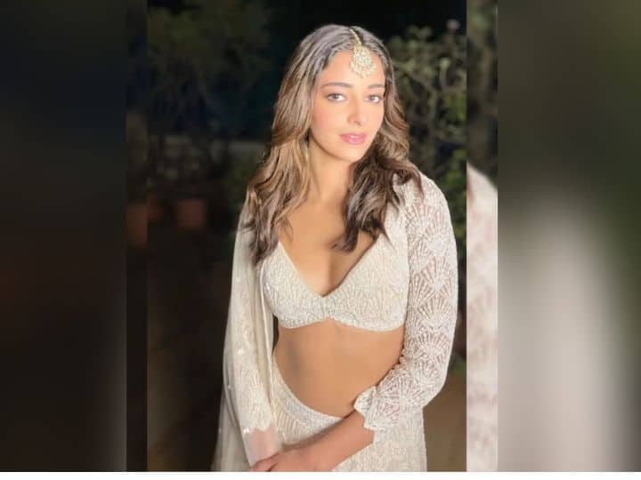 लुक को कंप्लीट करने के लिए अनन्या ने लाइट मेकअप किया है और बालों को ओपन रखा है. अनन्या ने अपने देसी लुक को काफी खूबसूरत रखा है. यही कारण है कि ये तस्वीरें सोशल मीडिया पर छा गई हैं.