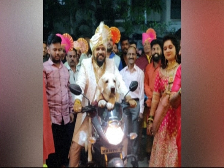 Grooms Makes Entry With Pet Dog Video Goes Viral On Social Media Watch Groom Makes Entry With His Pet Dog On A Bike, Video Goes Viral - WATCH