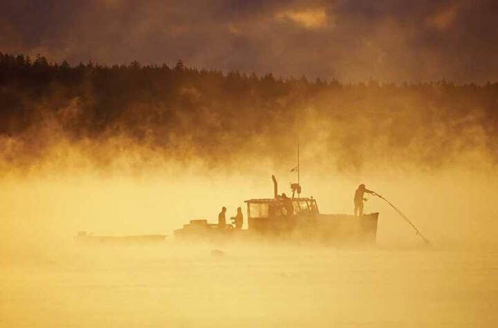 तापमान के इस अंतर के कारण महासागरों का पानी काफी मात्रा में भाप में बदल जाता है और उड़ने लगता है. दूर से देखने पर यह गैस के रूप में दिखाई देती है.