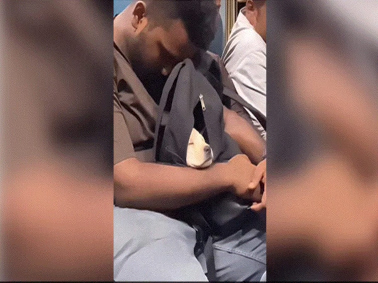 Man Carrying Puppy In His Backpack During Train Journey Will Melt Your Heart WATCH Man Carrying Puppy In His Backpack During Train Journey Will Melt Your Heart: WATCH