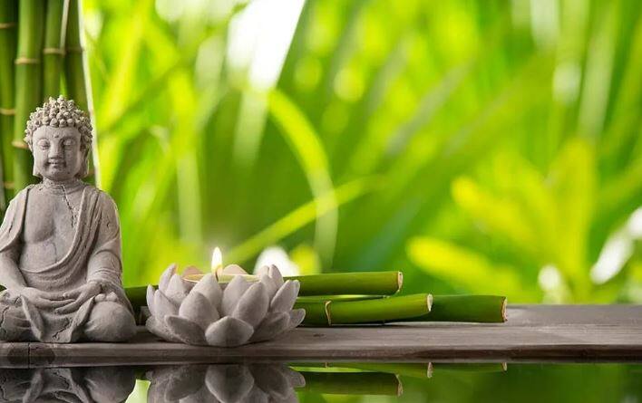 ઘરની નકારાત્મક ઉર્જા દૂર કરીને સકારાત્મક ઉર્જા લાવવા માટે ચાઈનીઝ વાસ્તુશાસ્ત્ર ફેંગશુઈ ખૂબ જ અસરકારક માનવામાં આવે છે. પરિવારમાં સકારાત્મક ઉર્જાનો પ્રવાહ વધારવા માટે ફેંગશુઈના ઉપાયો ખૂબ જ અસરકારક માનવામાં આવે છે.