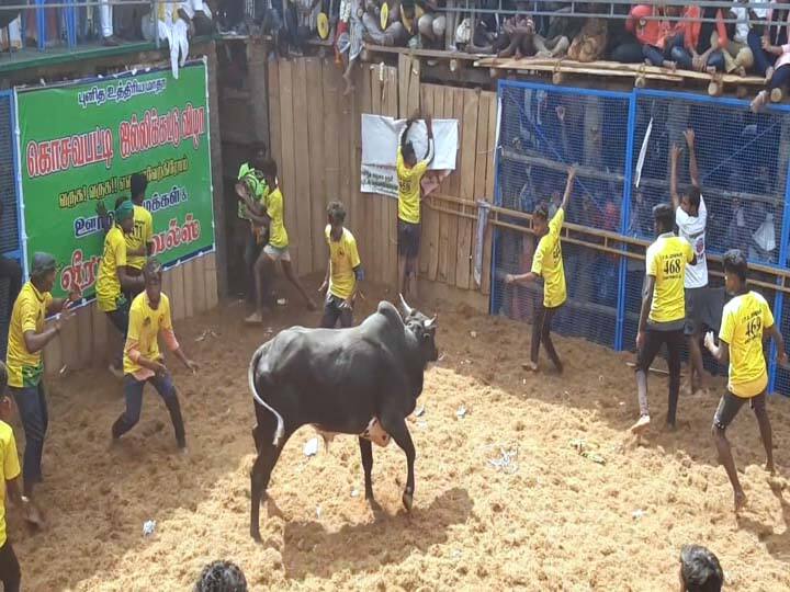 ஜல்லிக்கட்டு பாதியிலேயே நிறுத்தம்; பொதுமக்கள், போலீசார் இடையே தள்ளுமுள்ளு - நடந்தது என்ன..?