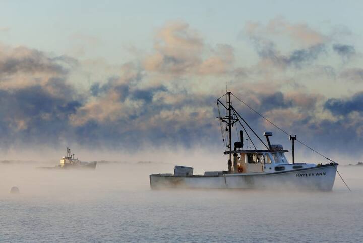 महासागर की गर्म सतह से पानी भाप बनकर ऊपर की ओर उड़ने लगता है. जब यह सतह के ऊपर की ठंडी हवा में मिलता है तो उस जगह की हवा में पानी की छोटी-छोटी बूंदें इकट्ठा हो जाती हैं.