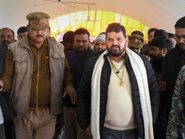 Wrestlers Protest IOA Formed seven member committee to probe against WFI Chief Bri Bhushan Sharan Singh Wrestlers Protest: बृजभूषण शरण सिंह पर लगे आरोपों की होगी जांच, IOA ने बनाई सात सदस्यीय कमेटी