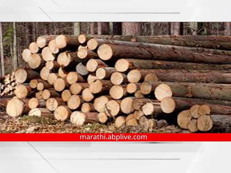 Nashik News Latest updates Smuggling of khair wood for making special gutka Nashik News : सुरगाण्यात 'पुष्पा' गॅंग सक्रिय, खास गुटखा बनवण्यासाठी खैर लाकडाची तस्करी