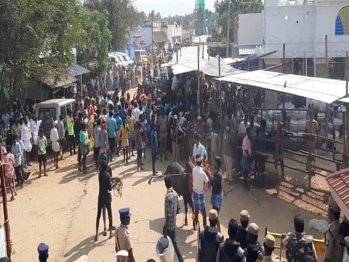 ஜல்லிக்கட்டு பாதியிலேயே நிறுத்தம்; பொதுமக்கள், போலீசார் இடையே தள்ளுமுள்ளு - நடந்தது என்ன..?