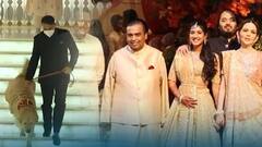 Anant Ambani Radhika Merchant Engagement ఉంగరాలను వేదిక మీదకు తీసుకొచ్చిన ఓ స్పెషల్ డాగ్
