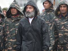 मुख्तार अब्बास नकवी ने कांग्रेस नेता राहुल गांधी को क्यों बताया 'टार्जन'? हैरान करने वाली है वजह