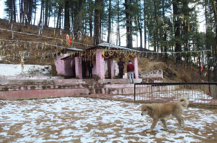 ভ্রমণ পিপাষু বাঙালির, উত্তরাখণ্ড ভ্রমণের মাস্ট ভিজিট ডেস্টিনেশনের তালিকায় থাকে এই আউলি। কিন্তু, এখানেই এখান দেখা নেই পর্যটকের। নেই চেনা কোলাহলের ছবিটা!