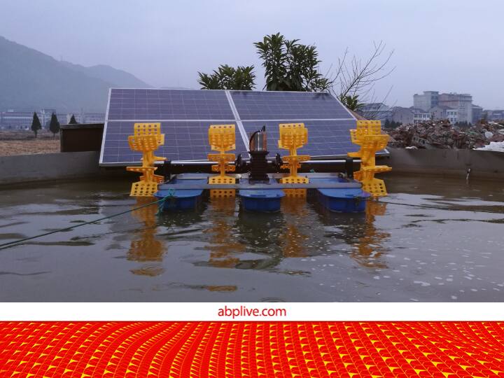 Fishries: फिश फार्मिंग के लिए 50% सब्सिडी, एरियटर के लिए पूरे 20,000 रुपये मिलेंगे, किसान कर दें अप्लाई 50 percent subsidy on installation of aerator Worth 40,000 per hactare under PM Matsya Sampada Yojana Fishries: फिश फार्मिंग के लिए 50% सब्सिडी, एरियटर के लिए पूरे 20,000 रुपये मिलेंगे, किसान कर दें अप्लाई