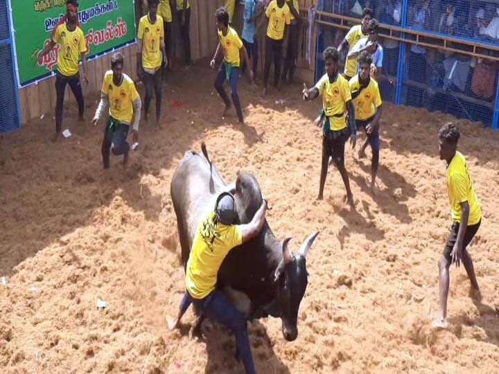 ஜல்லிக்கட்டு பாதியிலேயே நிறுத்தம்; பொதுமக்கள், போலீசார் இடையே தள்ளுமுள்ளு - நடந்தது என்ன..?