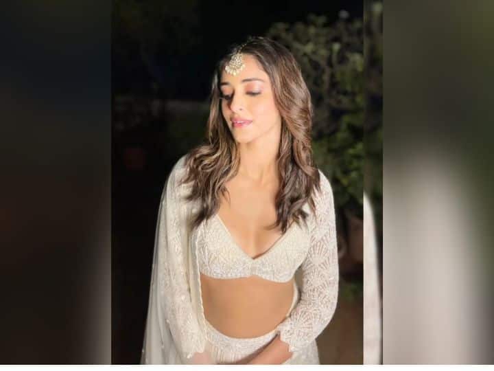 आप भी किसी फंक्शन में जाने का प्लान कर रही हैं तो एक्ट्रेस अनन्या पांडे के लुक से इंस्पिरेशन ले सकती हैं. अगर आप भी इस तरह खुद को तैयार करेंगी तो हर किसी की नजर आप पर ठहर जाएगी.