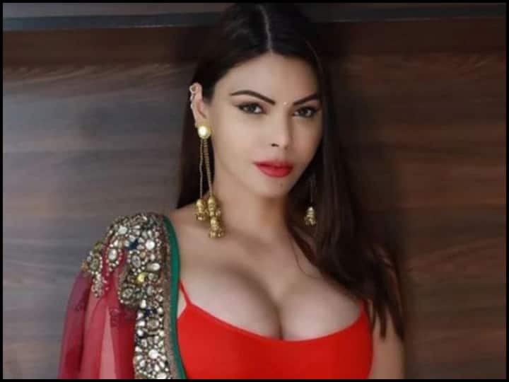 When Sherlyn Chopra herself revealed, ‘I like doing sexual content films…’