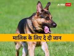 पटना के दो मंजिला मकान में लगी आग तो वफादार कुत्ते ने चुकाया कर्ज, ऐसे बचाई घर वालों की जान