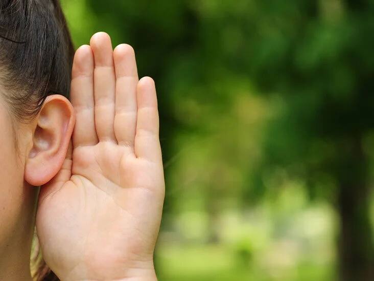 Ear Fact why dont you understand anything when someone speaks very fast intresting fact marathi news Ear Fact : एखादी व्यक्ती खूप वेगाने बोलते तेव्हा तुम्हाला काहीच का समजत नाही? जाणून घ्या यामागचं वैज्ञानिक कारण