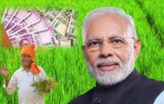 PM Kisan Samman Nidhi: ਇਸ ਕਾਰਨ PM ਕਿਸਾਨ ਸਨਮਾਨ ਨਿਧੀ ਦੀ 13ਵੀਂ ਕਿਸ਼ਤ 'ਚ ਦੇਰੀ