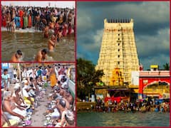 Thai amavasai: சாபம் நீக்கும் தை அமாவாசை... எப்படி, எந்த நேரத்தில் தர்ப்பணம் செய்ய வேண்டும்...?