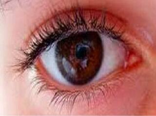 Eyes and Ayurveda : உங்கள் கண்களை ஆரோக்கியமாக வைத்துக் கொள்வது எப்படி? - ஆயுர்வேதம் சொல்லும் டிப்ஸ்