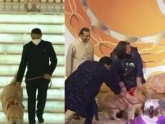 Watch: Adorable Ring Bearer At Anant Ambani Radhika Merchant Engagement Ceremony At Antilla