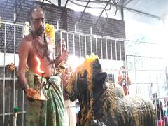 ஐயாரப்பர் கோயில் தை பிரதோஷத்தை முன்னிட்டு நந்தி பகவானுக்கு சிறப்பு அபிஷேக ஆராதனை!