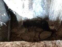 Ambabai Mandir : अंबाबाई मंदिरातील गरुड मंडपाचे खांब वाळवीने पोखरले