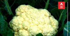 Cauliflower Side Effects: ਜੇਕਰ ਰੋਜ਼ ਭੋਜਨ 'ਚ ਖਾਂਦੇ ਹੋ ਗੋਭੀ, ਤਾਂ ਜਾਣ ਲਓ ਇਸ ਦੇ ਨੁਕਸਾਨ