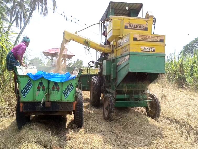 அறுவடை இயந்திர தட்டுப்பாட்டால் மயிலாடுதுறை மாவட்டத்தில் விவசாயிகள் அவதி Farmers suffer in Mayiladuthurai district due to shortage of harvesters TNN அறுவடை இயந்திர தட்டுப்பாட்டால் மயிலாடுதுறை மாவட்டத்தில் விவசாயிகள் அவதி