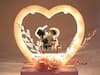 ये हैं आपके पार्टनर को पसंद आने वाले गिफ्ट, वेलेंटाइन्स डे पर देने के लिये अभी से अमेजन से खरीद लीजिये सस्ते में