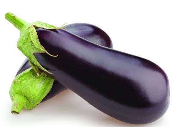 शास्त्रज्ञांनी वांग्याच्या वाणांच्या नवीन जाती विकसित केली आहे. या वांग्याच्या नवीन जाती शेतकऱ्यांसाठी फायद्याच्या असून, यातून शेतकऱ्यांना मोठा नफा मिळणार असल्याचा दावा शास्त्रज्ञांनी केला आहे