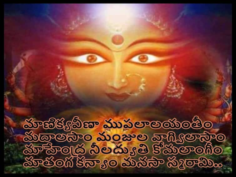 Magha Gupta Navratri 2023: importance and significance of worship of shyamala navratri,know in telugu Magha Gupta Navratri 2023: ఆరోగ్యం, శ్రేయస్సు, ఐశ్వర్యాన్నిచ్చే శ్యామల నవరాత్రులు - జనవరి 22 నుంచి ప్రారంభం