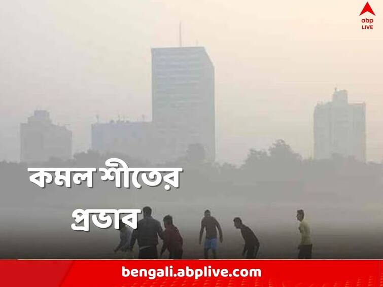 WB Weather Updates Kolkata sees slight increase in temperature WB Weather Updates: সকালে কুয়াশার চাদরে ঢাকল শহর, তাপমাত্রায় সামান্য বৃদ্ধি