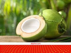 नारियल पानी तो कई बार पिया होगा आपने... जानते हैं इसके अंदर जो पानी होता है वो आता कहां से है?