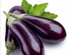 Photo : वांग्याच्या नवीन वाणांची निर्मिती, शेतकऱ्यांना होणार फायदा